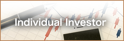 Individual Investor