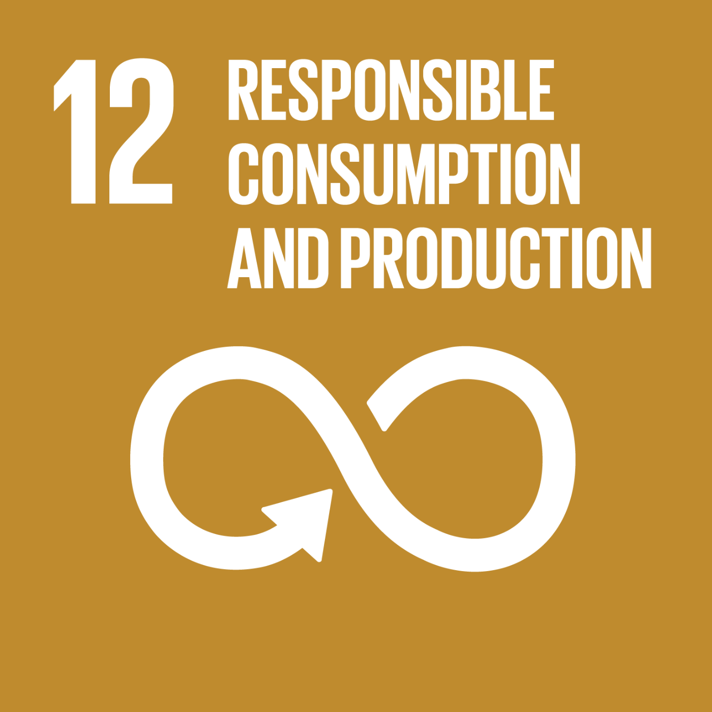 12 RESPONSIBLE CONSUMPTION AND PRODUCTION